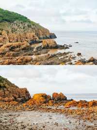 《如夢似幻的寶藏小島，岱山！》