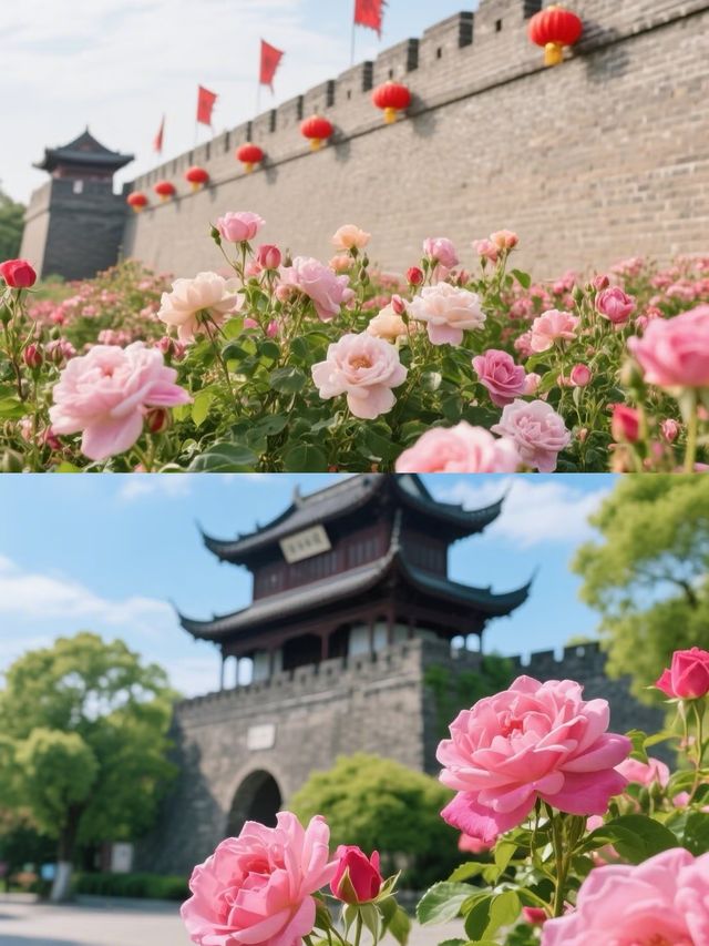 西安受罪已回，真不建議5月份來了