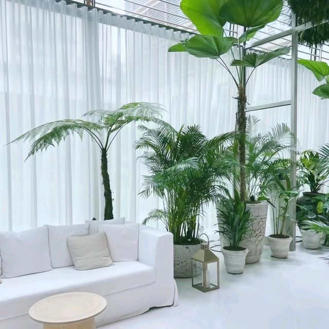 ✨新加坡艾迪遜酒店｜烏節路的隱世綠洲🌿