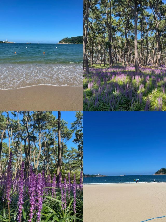 蔚山，解鎖韓國小眾海景秘境——一場與山海的浪漫邂逅
