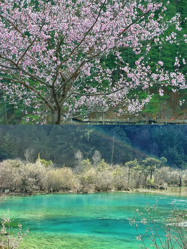 九寨溝旅遊攻略：人間瑤池的夢幻之旅