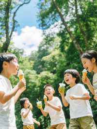 暑假去普洱，暢玩太陽河森林公園