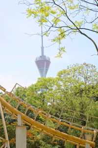 成都寶藏公園，適合一家大細嚟散步、飲茶