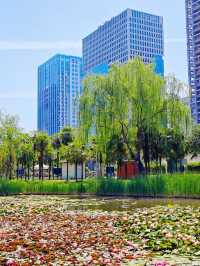 西安旅遊 | 住高新喜來登，解鎖五一超嗨玩法