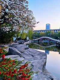 山東德州•一座美麗動人慢節奏的城市