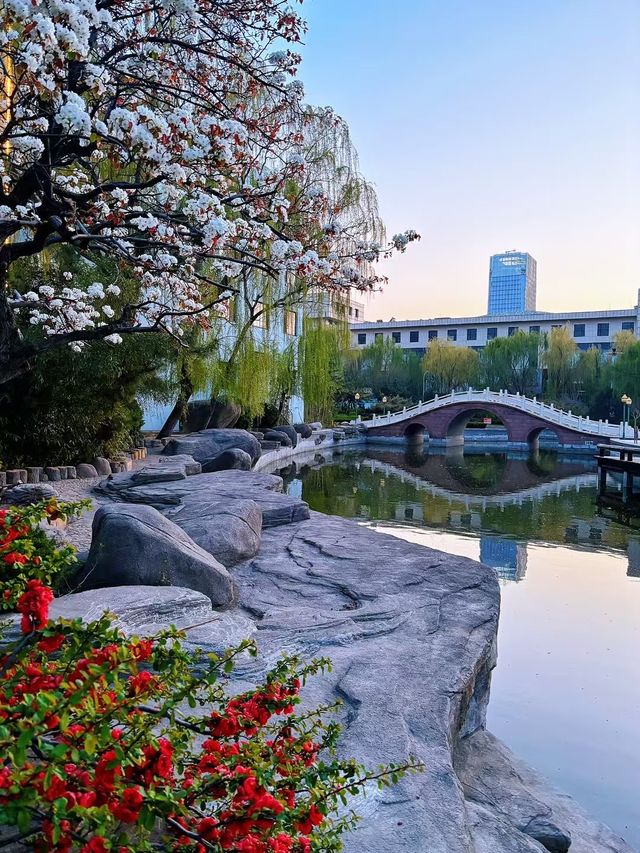 山東德州•一座美麗動人慢節奏的城市