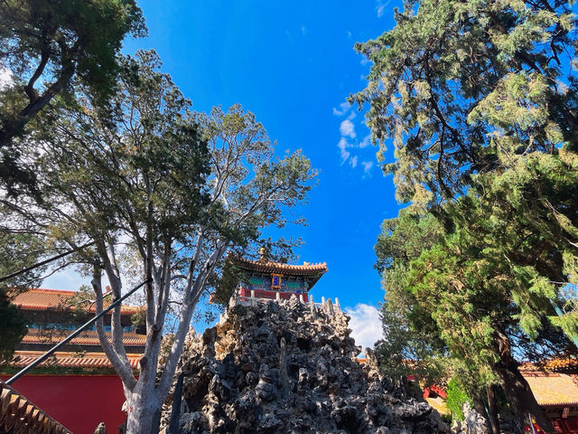 故宮御花園｜紅牆金瓦下的皇家秘境🌸