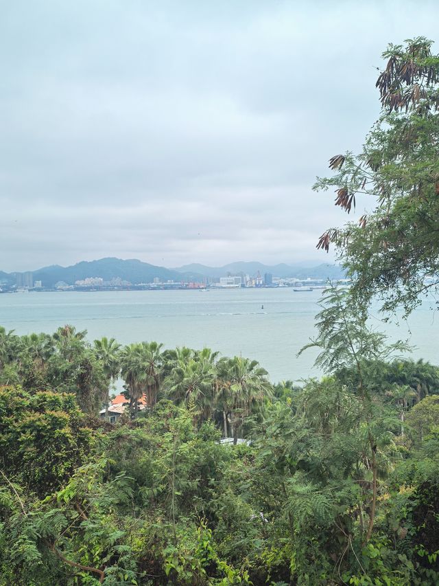 廈門大學！海邊療癒的讀書聖地！