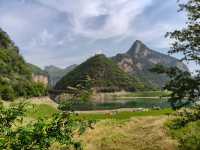 野紀河