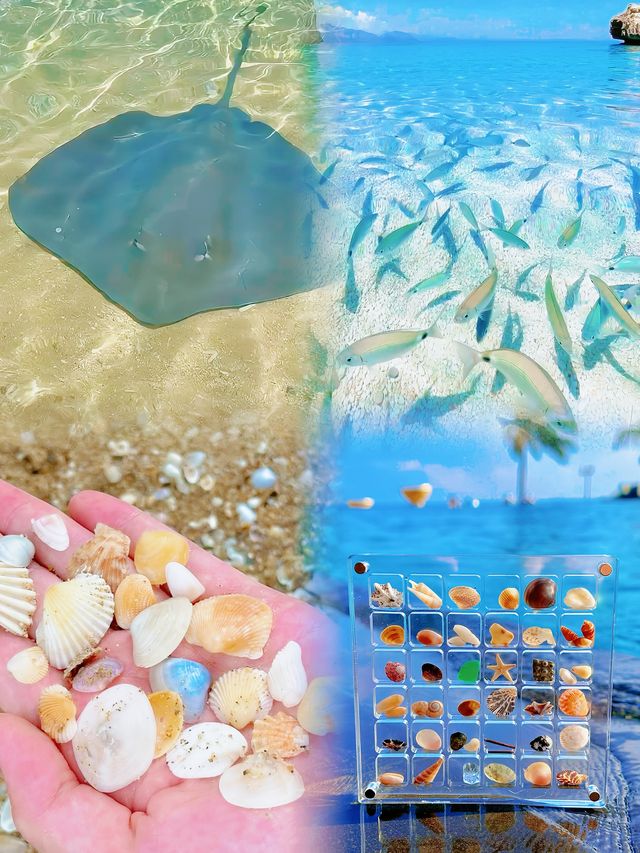 海南陵水三天保姆級別遊玩攻略