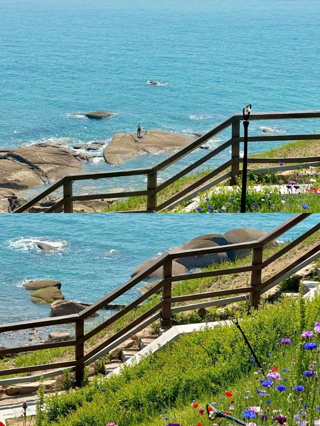 青島受罪已回，實話拒噴