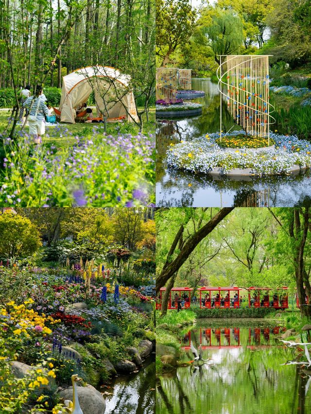 邂逅吉維尼莫奈花園嘅夢幻詩篇