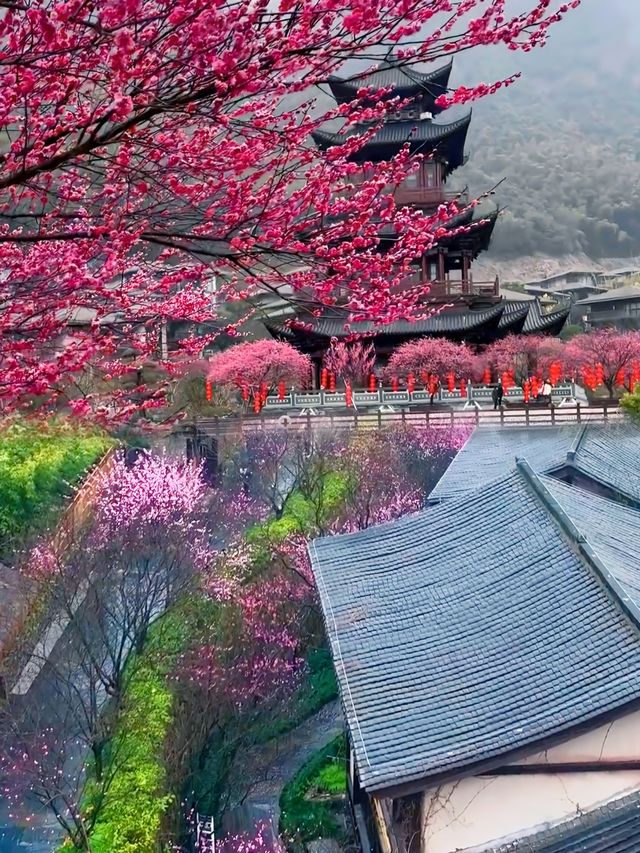 唔係神仙都逍遙，神仙嘅後花園全攻略