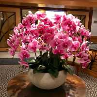 新加坡河畔豪華度假體驗 | Grand Copthorne Waterfront Hotel  