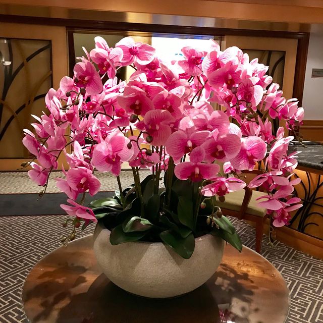 新加坡河畔豪華度假體驗 | Grand Copthorne Waterfront Hotel  