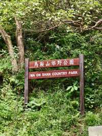 飛鵝回首，群山之間望九龍