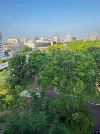 高性價比之選：東京普米爾三井花園酒店神宮外苑