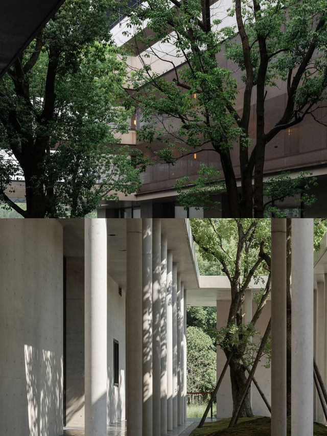 逃離城市計劃｜宜興大有秋息壤酒店