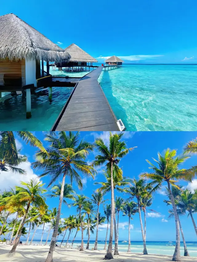 Bohol Island Round 2: Spilling the Real Tea