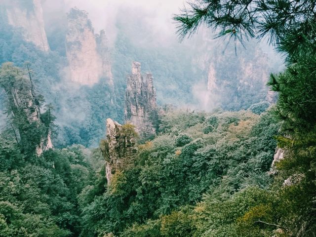 Secret Hiking Trails of Zhangjiajie National Forest Park: Write Your Own Travel Book