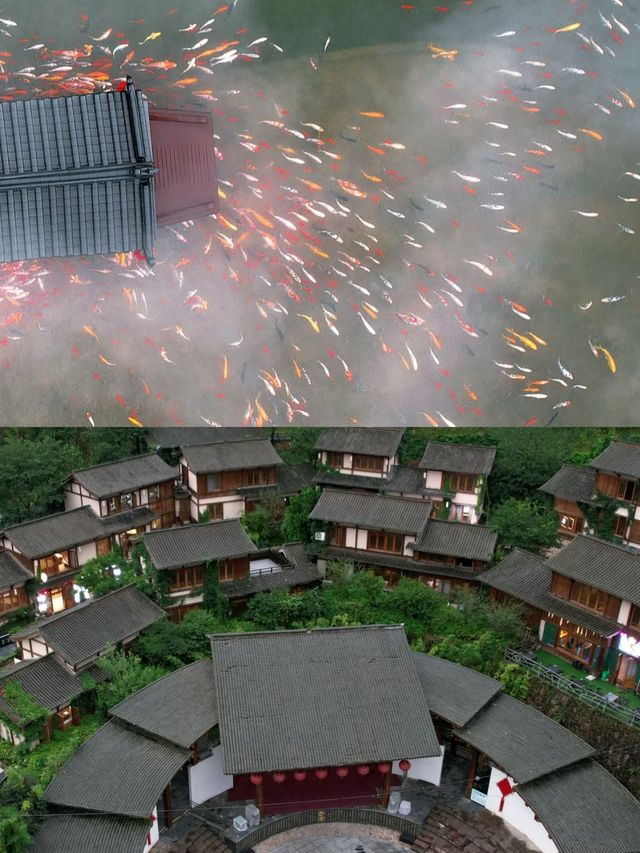 去上饒⑤次後爆肝整理的保姆級旅遊攻略