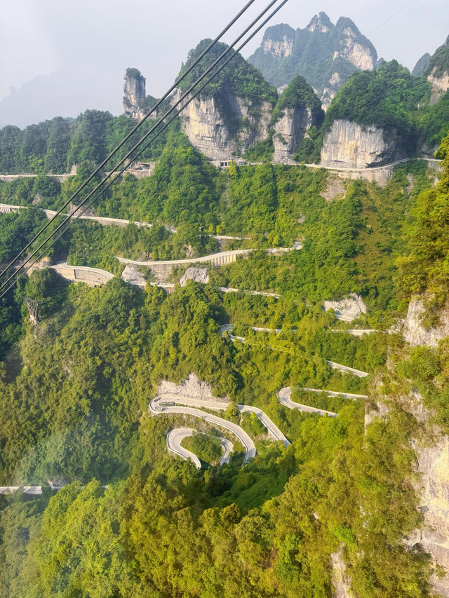 【天門山懶人包｜雲端漫步玻璃棧道尖叫體驗