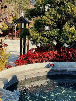 Changtian Jiuxian Hotel: A Serene Retreat in a Peach Blossom Paradise