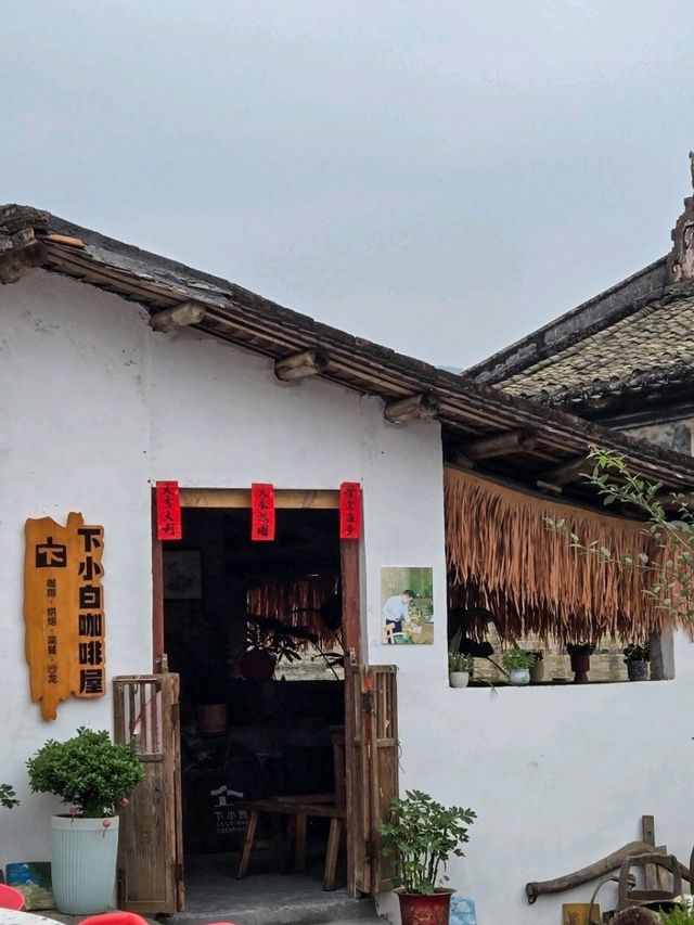 廣東雲浮下白村✨️廢棄🐷豬圈改造的網紅咖啡屋☕