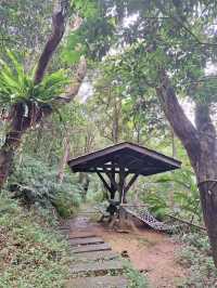 台北週邊🌿大板根森林溫泉渡假村探秘