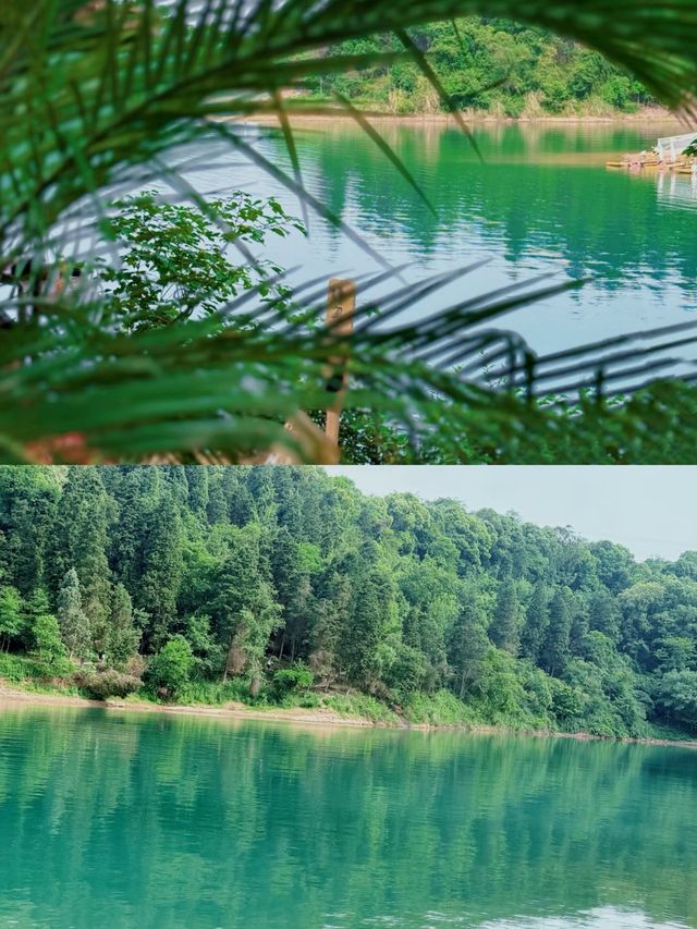為咗呢扇窗，特登去咗一趟安吉