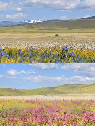 "Mao'ya Grassland: A Poetic Dwelling on the Plateau"