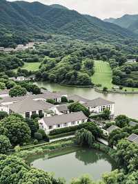 杭州仙境暴擊！娃兒喺富春山居將睡蓮池當成龍王澡堂