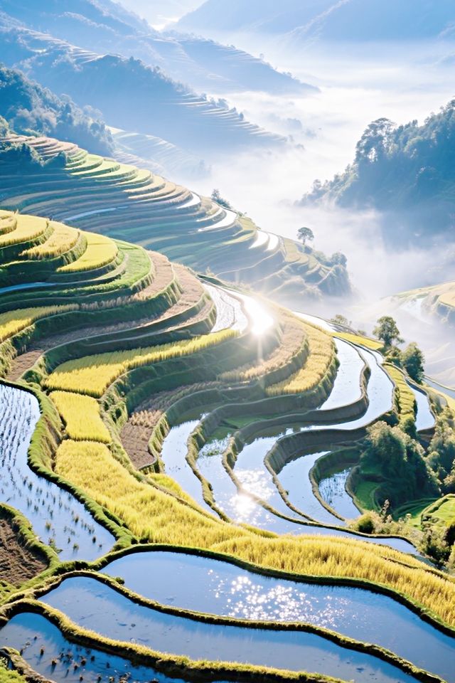 梯田—天顏
