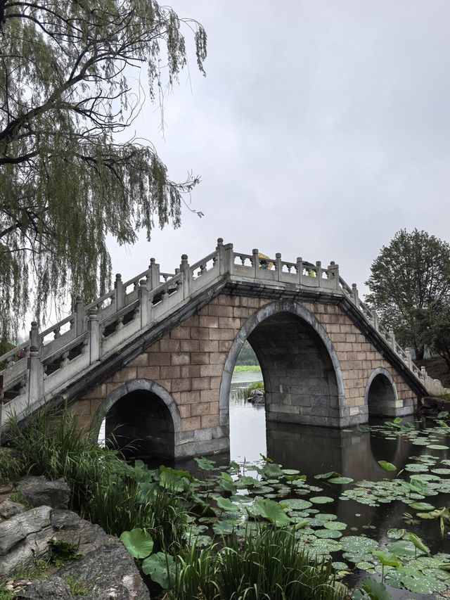 煙雨圓明園：江南韻與歷史愁