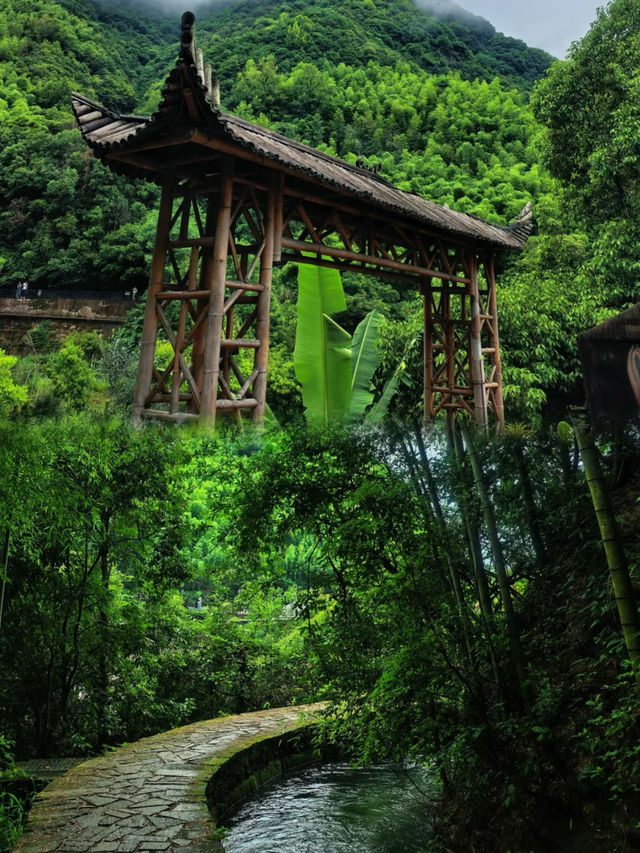 見山放空最近低能量嘅人都行呢條路
