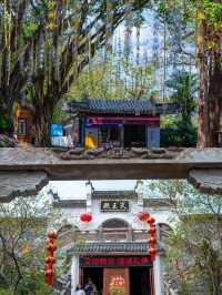 半城山色半城湖：惠州嘅生態與人文交響