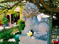 Zhejiang Taoist Temple Tour: Where Mountains Become Pillars to Heaven and Alchemy Meets Philosophy