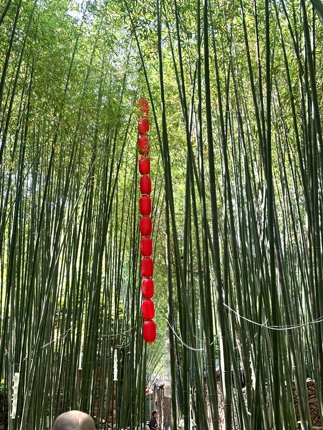 7.5-7.6睇完刀郎演唱會之後，臨沂呢啲地方千祈唔好錯過
