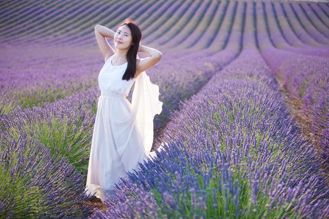 南法薰衣草花田旅拍指南