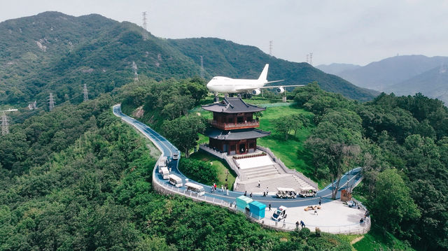舟山定海｜兩日一夜小眾寶藏打卡路線