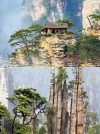 張家界旅遊攻略.奇幻仙境.此生必去！