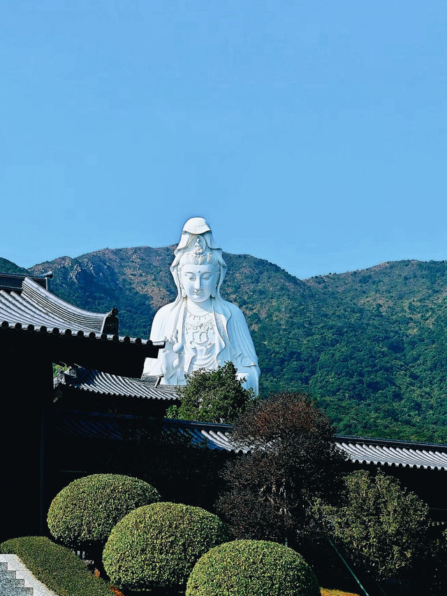 香港の心霊的なオアシス：慈山寺体験記】** 
