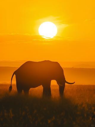 Kenya 8 Days 7 Nights Safari Travel Diary