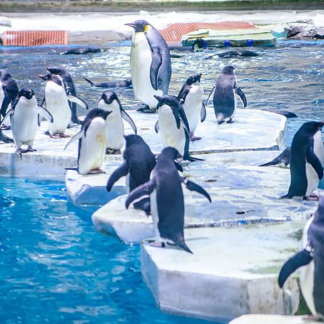 9 Kid-Friendly Day Trips from Shanghai for Family Fun ❤️
