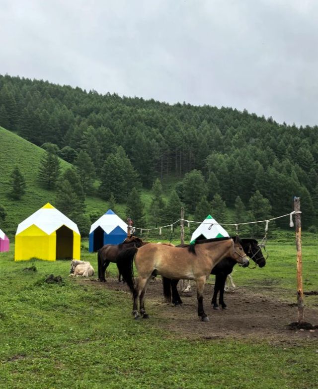夏日避暑天花板！阿爾山 20℃嘅清涼秘境