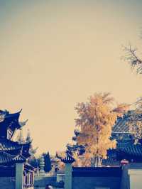 東台泰山寺 禅意の旅