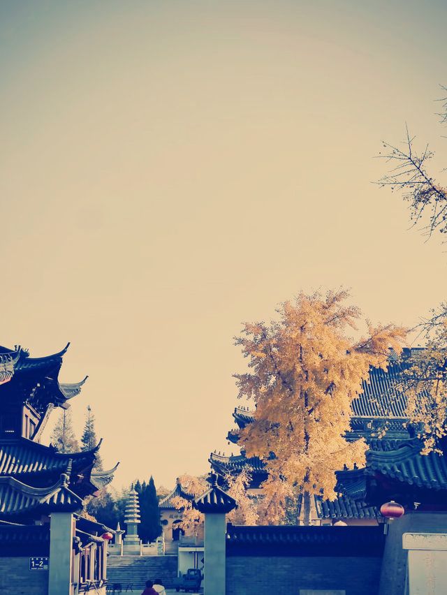 東台泰山寺 禅意の旅