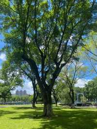 免費 | 中山岐江公園