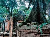 Ta Prohm: The Enigmatic Temple Embraced by Nature