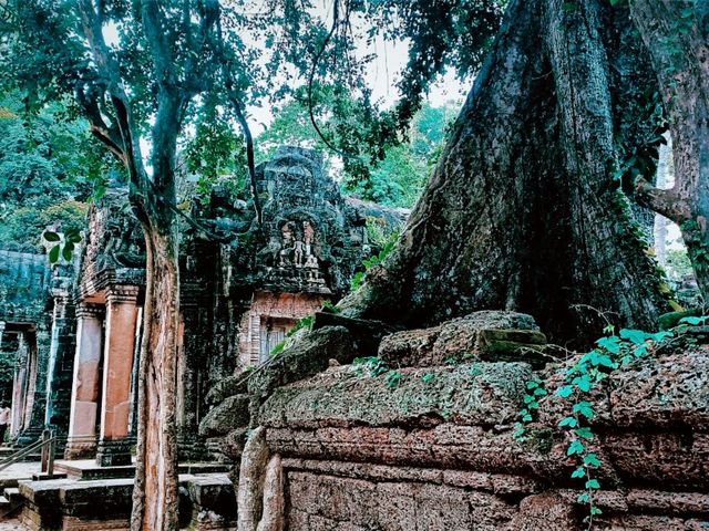 Ta Prohm: The Enigmatic Temple Embraced by Nature